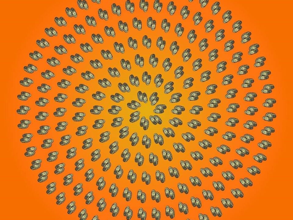 215 pairs of shoes in circles with an orange background.