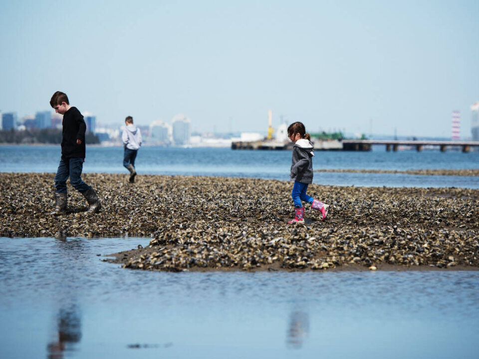 Three children walk on rocks along the shore of the Halifax Harbour