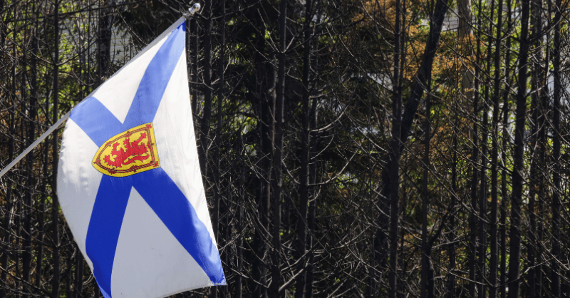 Nova Scotia flag in front of a burned forest