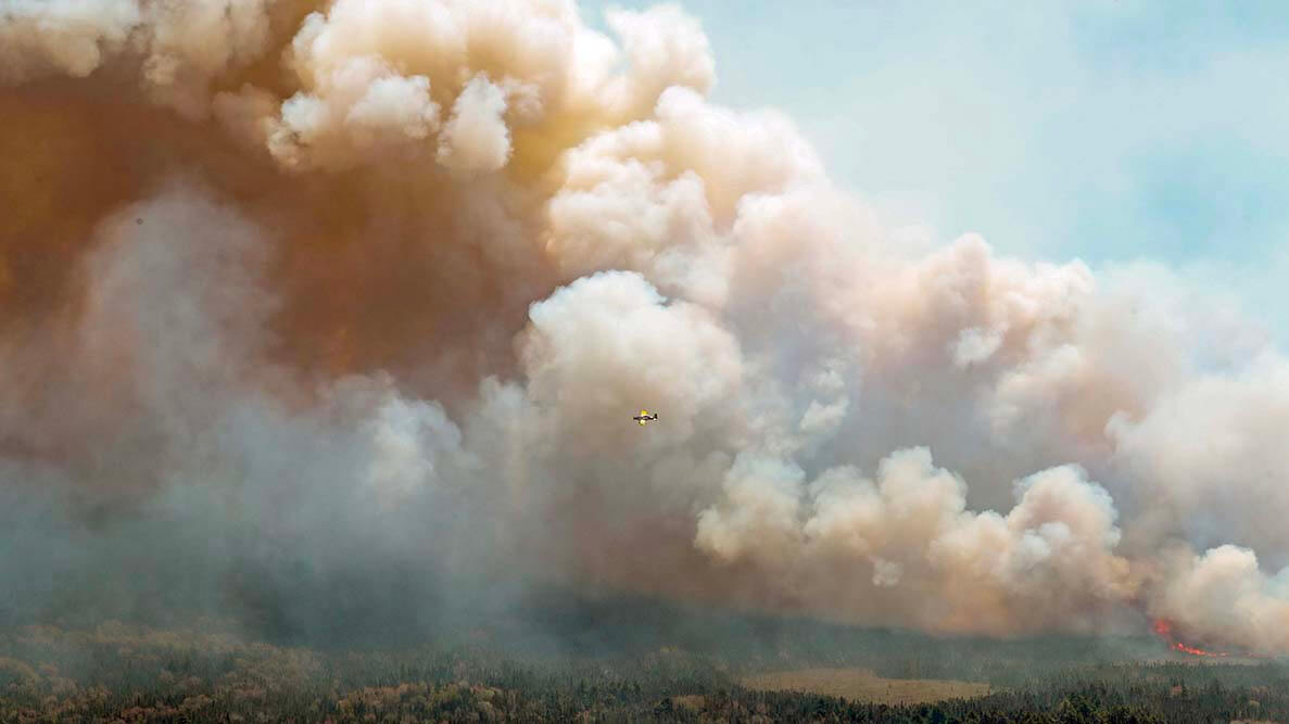 Billowing smoke from a wildfire with a water bomber plane in the middle