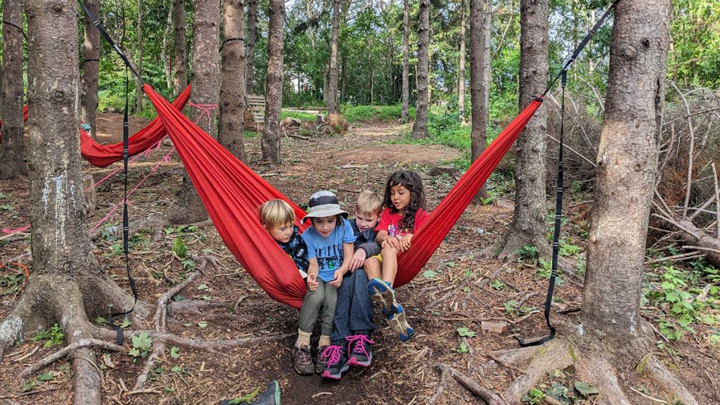 children sitting in a hammock strung between two trees